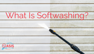 oasis power wash softwashing